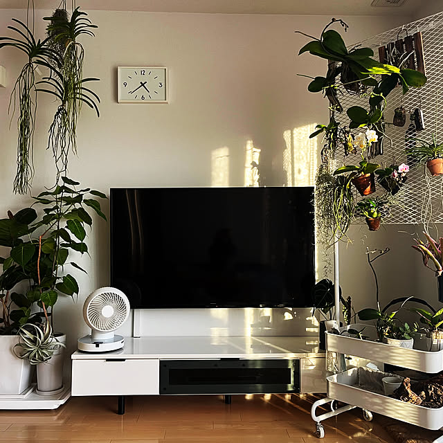 Mikiさんの部屋
