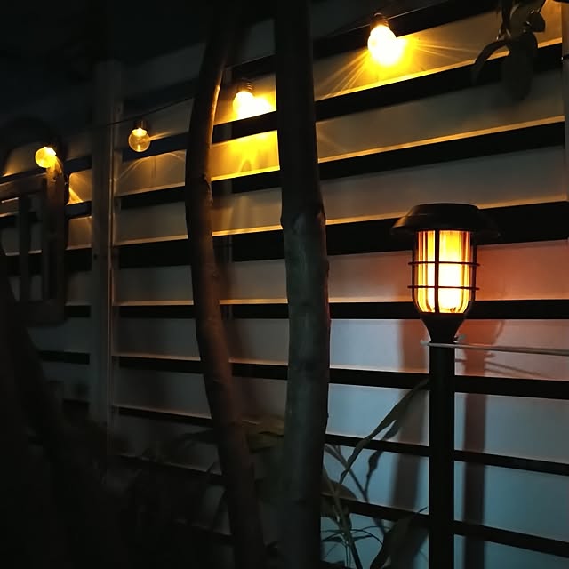 kana_ciiさんの実例写真