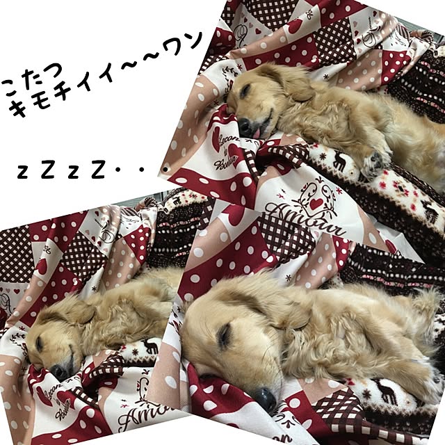 ssmami0723さんの実例写真