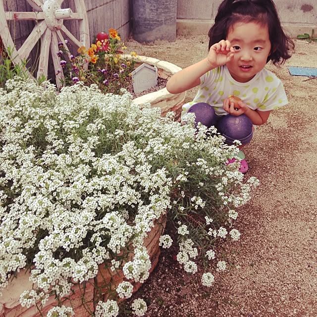 maichanさんの実例写真