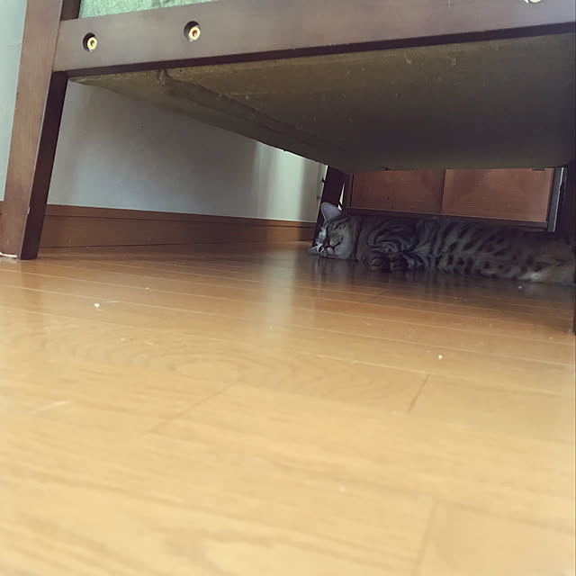 mikan161さんの実例写真