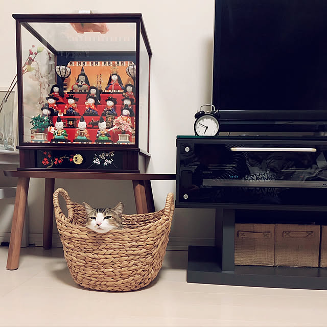 nekomiさんの実例写真