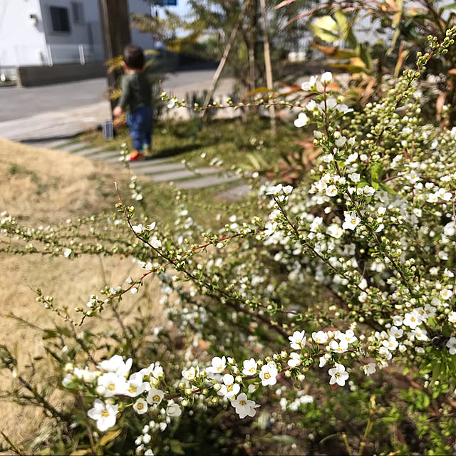 yumiiさんの実例写真