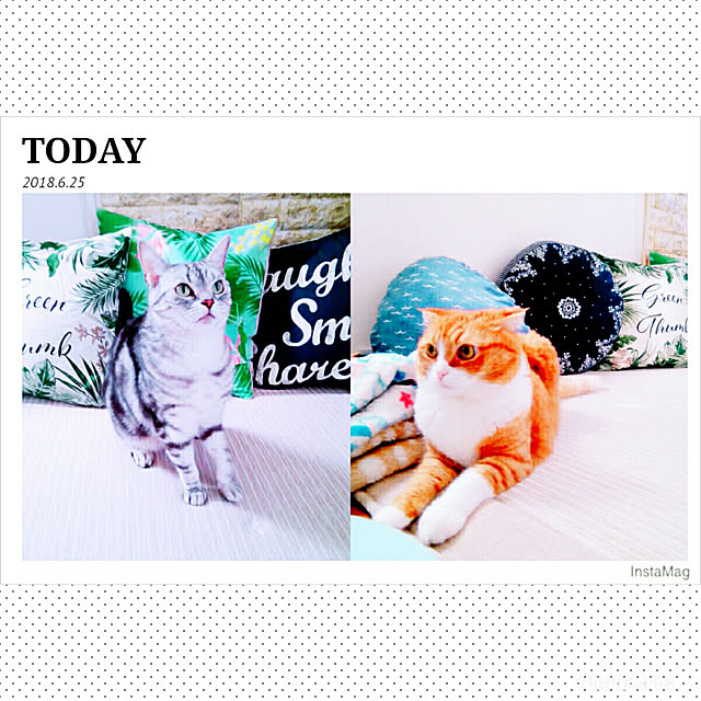 kumingさんの実例写真
