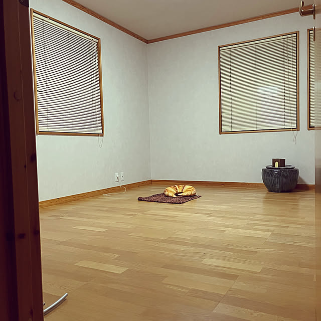 botanさんの実例写真