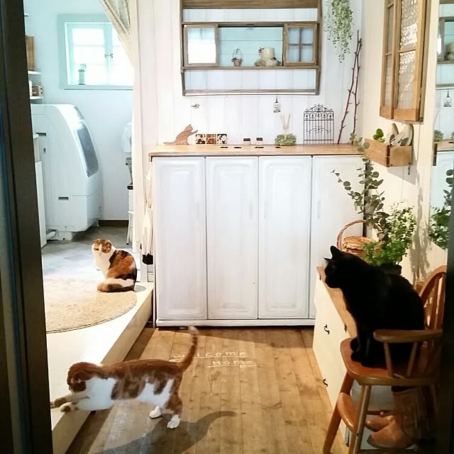 mikiさんの実例写真
