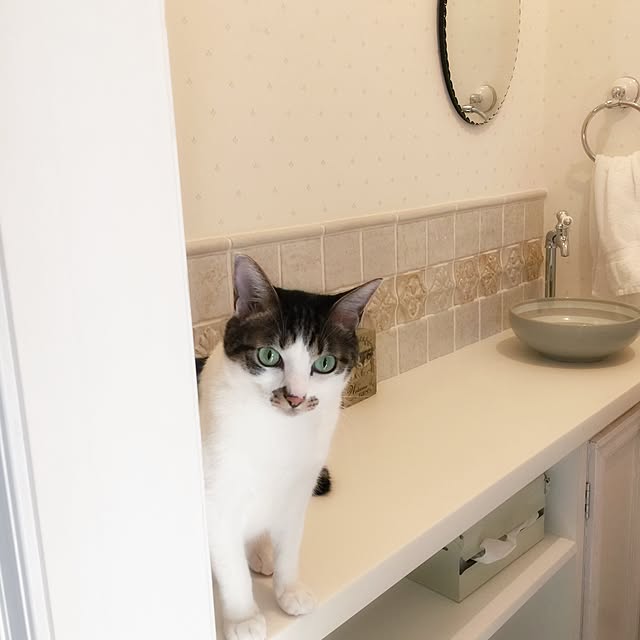 yuchiさんの実例写真