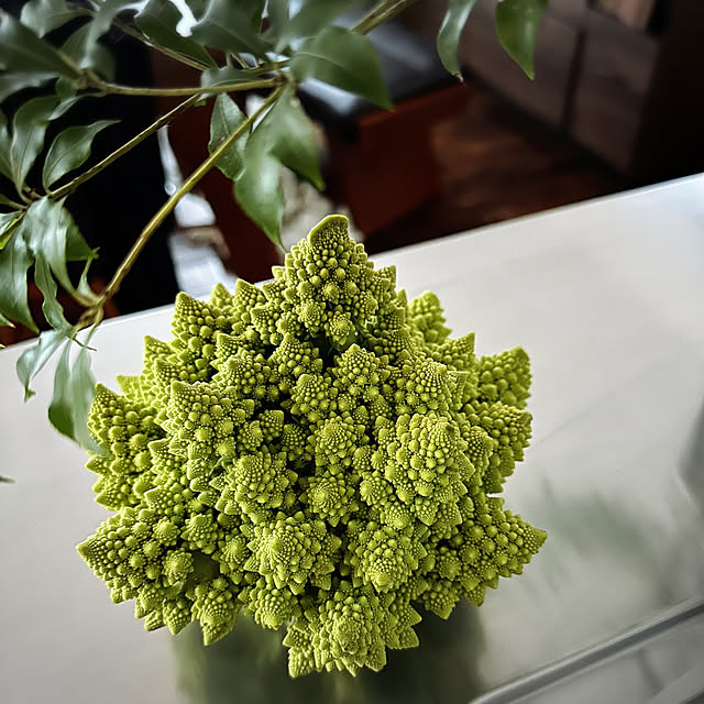 hanahana1444さんの部屋