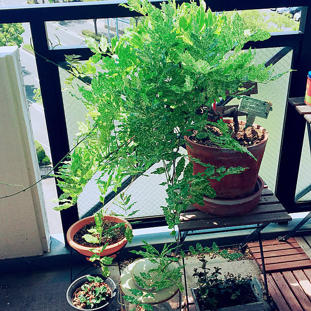 Yukari_buさんの実例写真