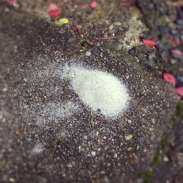 RISAさんの実例写真