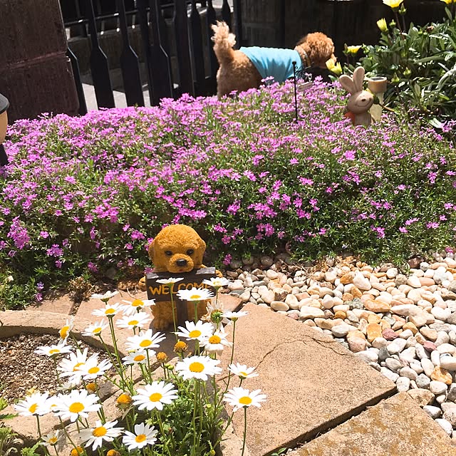 miki...さんの実例写真