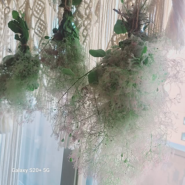 monnさんの部屋