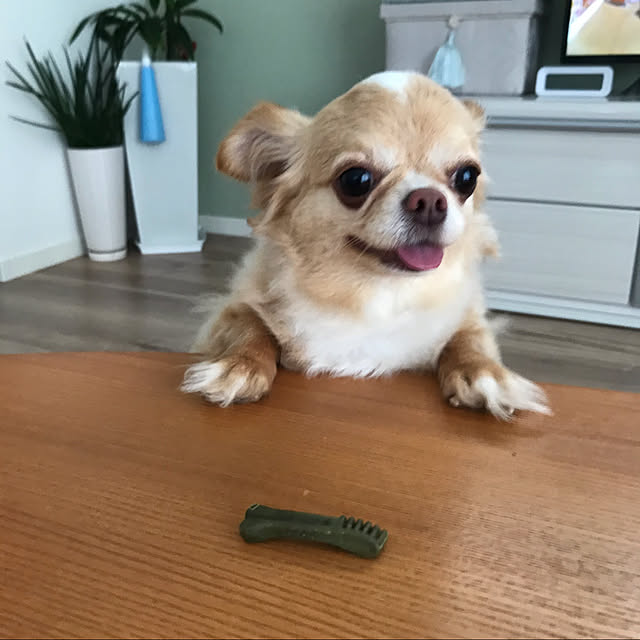 nanahahaさんの実例写真