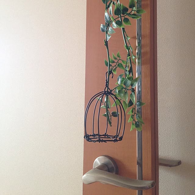 akaringoさんの実例写真