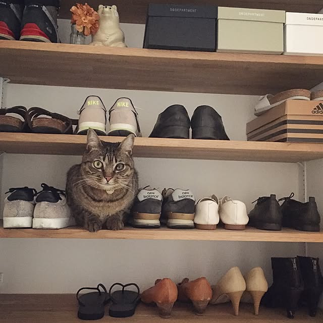 otatsu611さんの実例写真