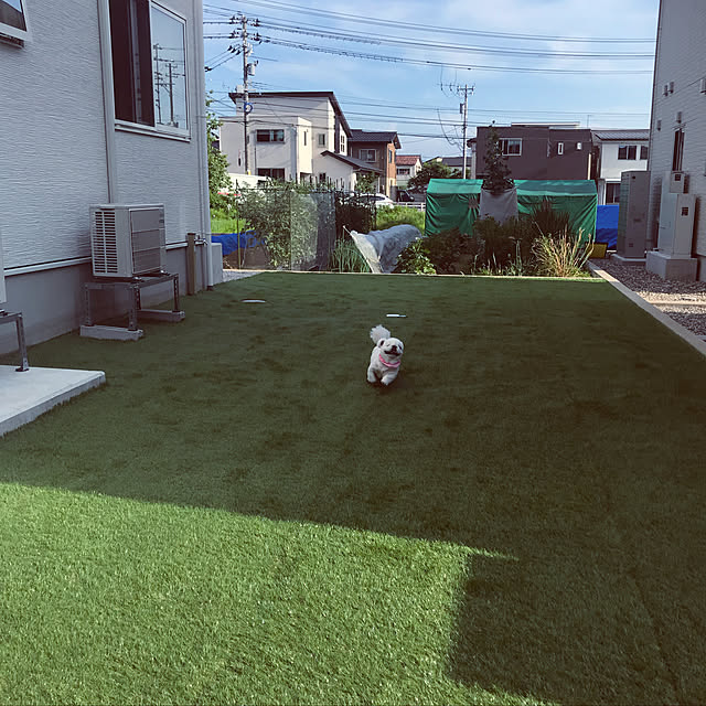実例写真