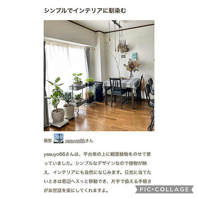 yasuyo66さんの実例写真