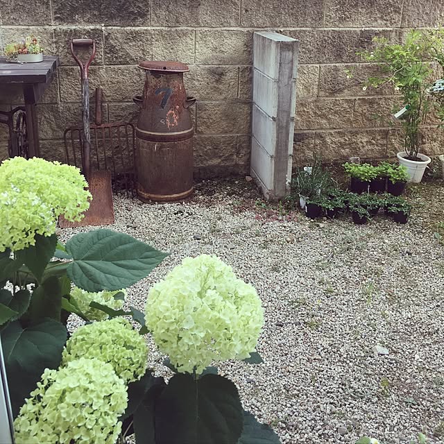 sakusoraさんの実例写真