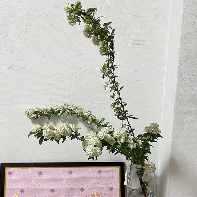 shabby666さんの実例写真