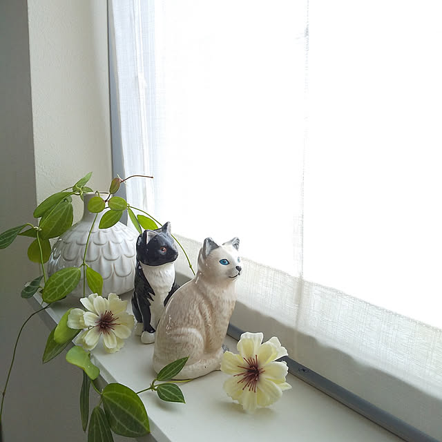 Haさんの実例写真