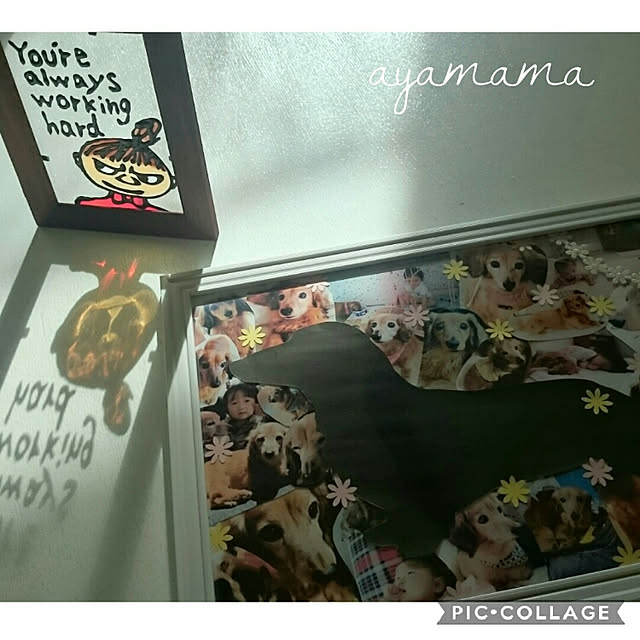 ayamamaさんの実例写真