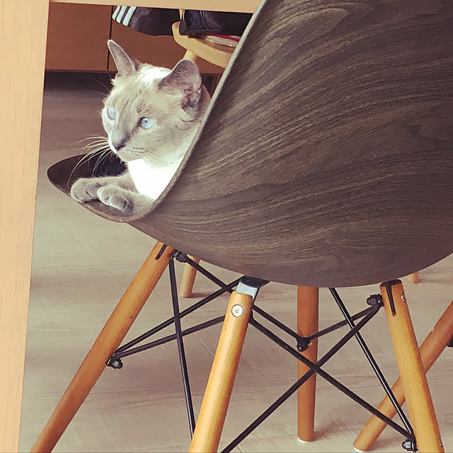 niko-25さんの実例写真