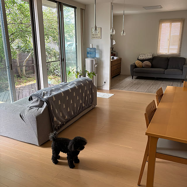 funky_ayankeeさんの実例写真