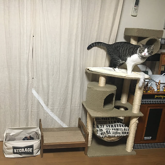 Rumiさんの実例写真