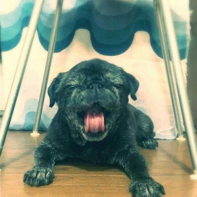 teftef9689さんの実例写真