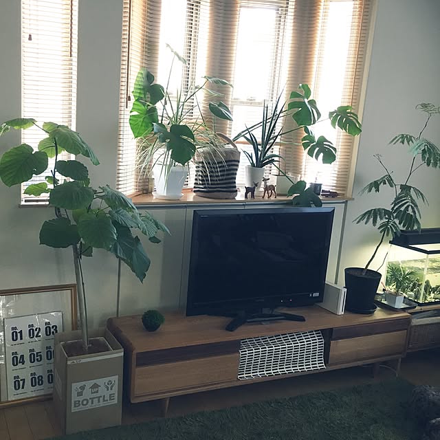 yunさんの実例写真