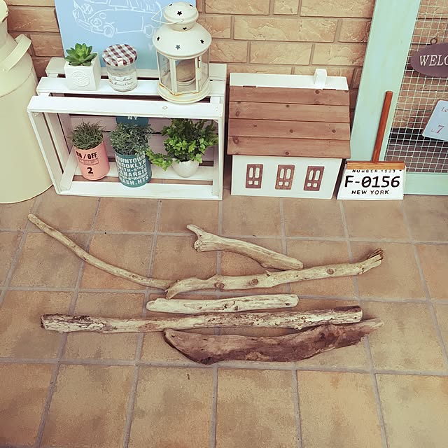 serotiさんの実例写真