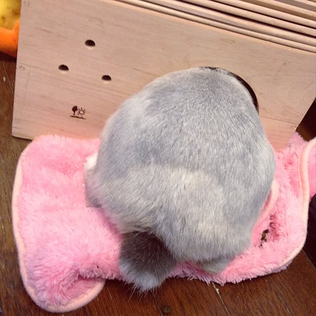 yokomokoさんの実例写真
