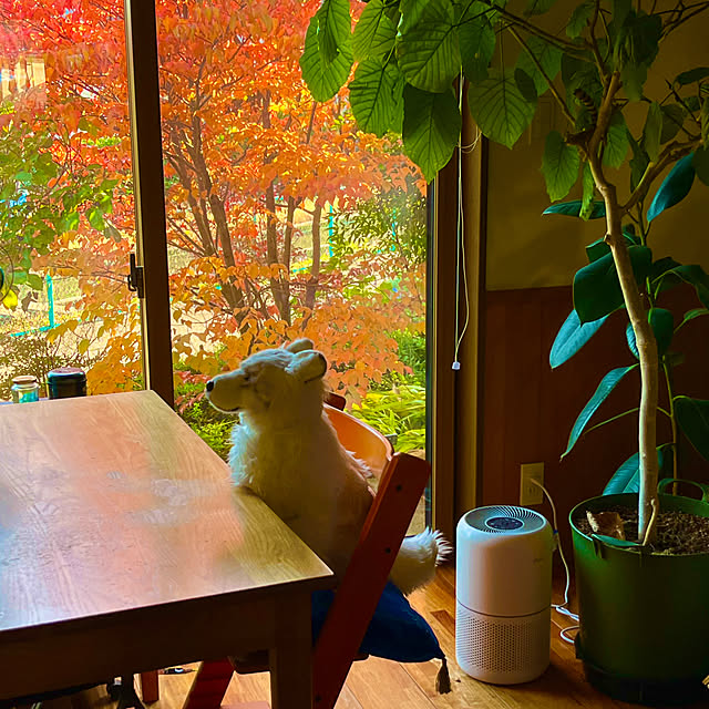 Erikoさんの部屋