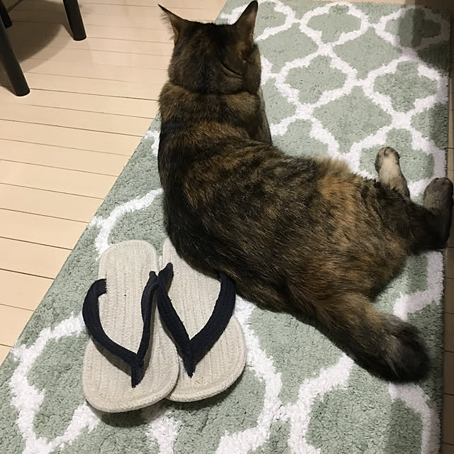 syutanさんの実例写真
