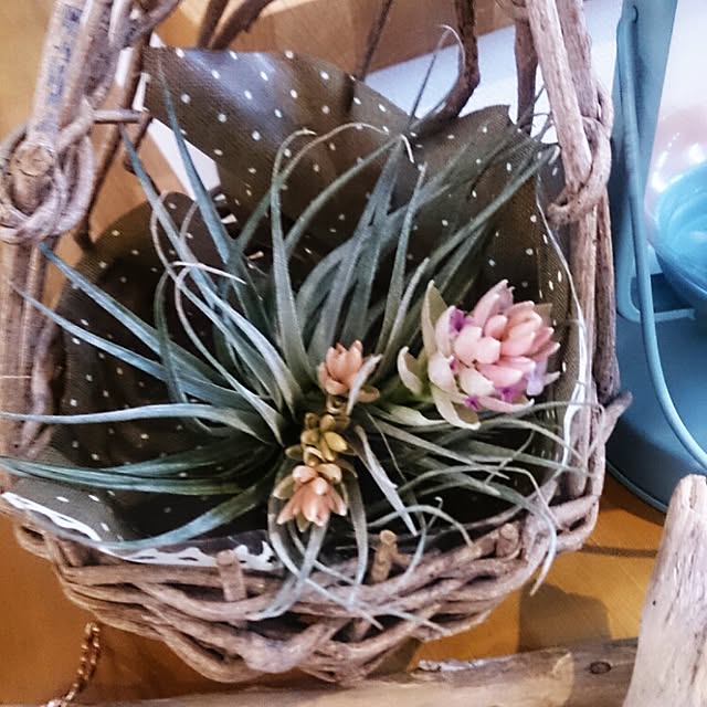 sachiさんの実例写真