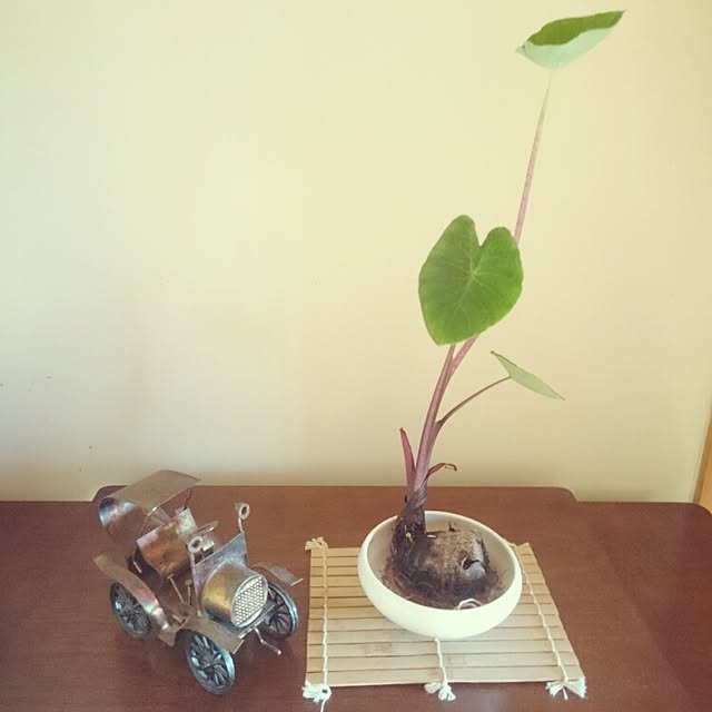 monblanさんの実例写真