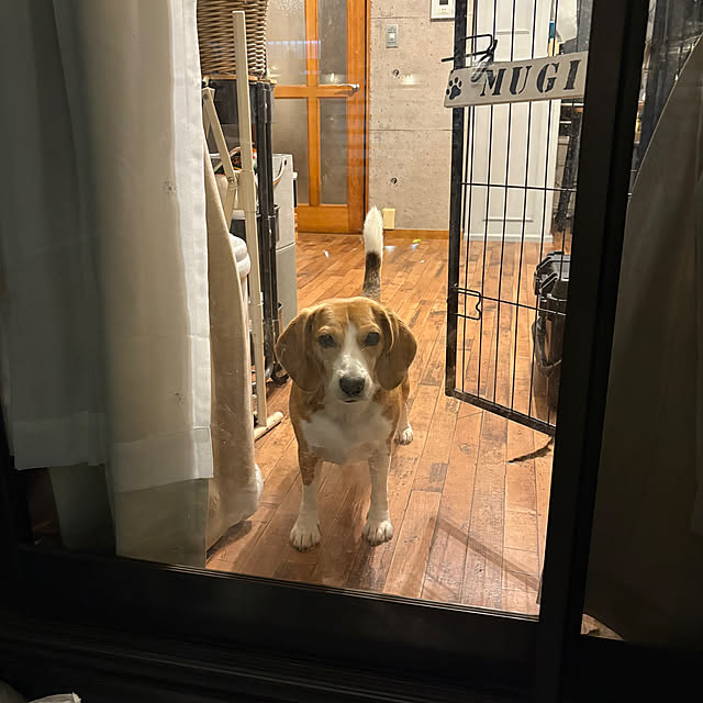 onokenkoさんの部屋
