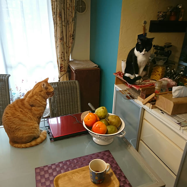 okyosan101さんの実例写真