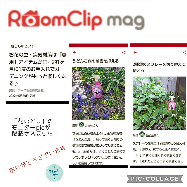 ampinさんの実例写真