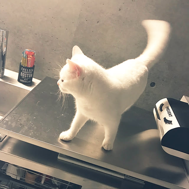 rayjyuさんの実例写真