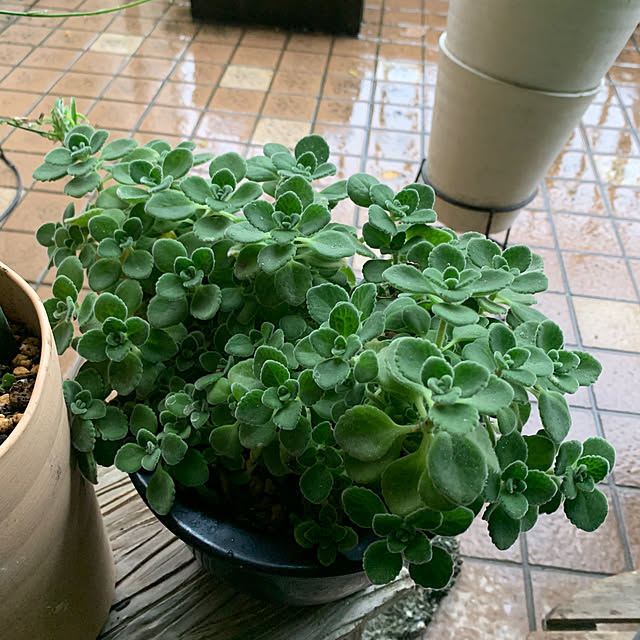 Aqettyさんの部屋