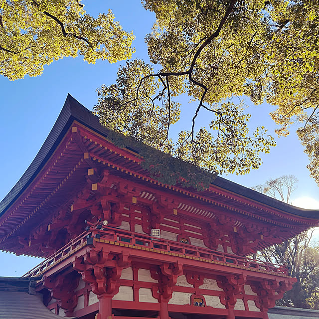 実例写真