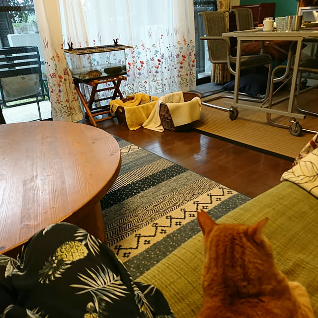 okyosan101さんの実例写真