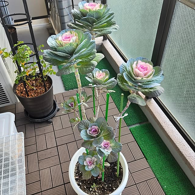 love1017さんの部屋