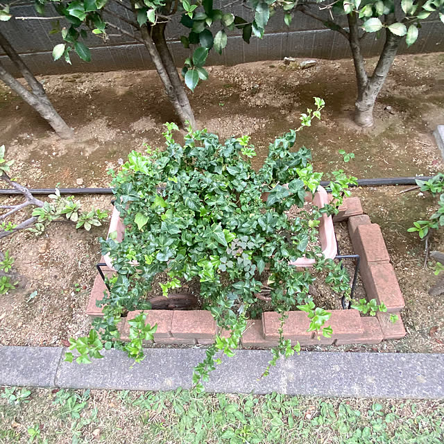 YuuKoさんの部屋