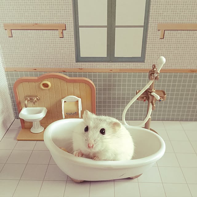 yunchiさんの実例写真