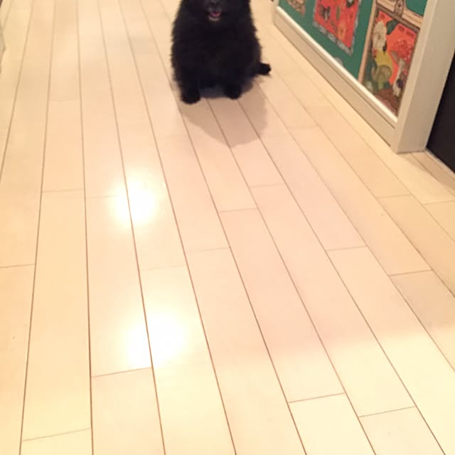 ohanaさんの実例写真