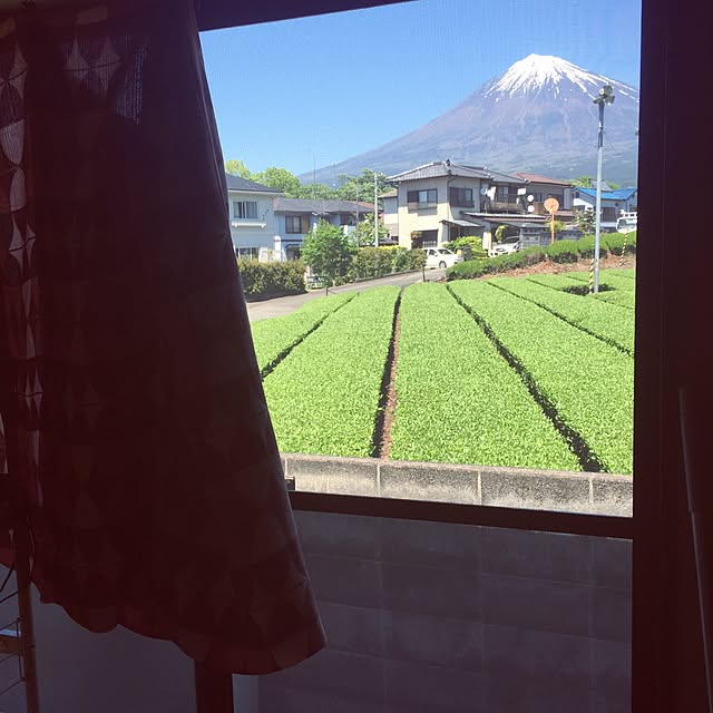 otukaresanさんの実例写真