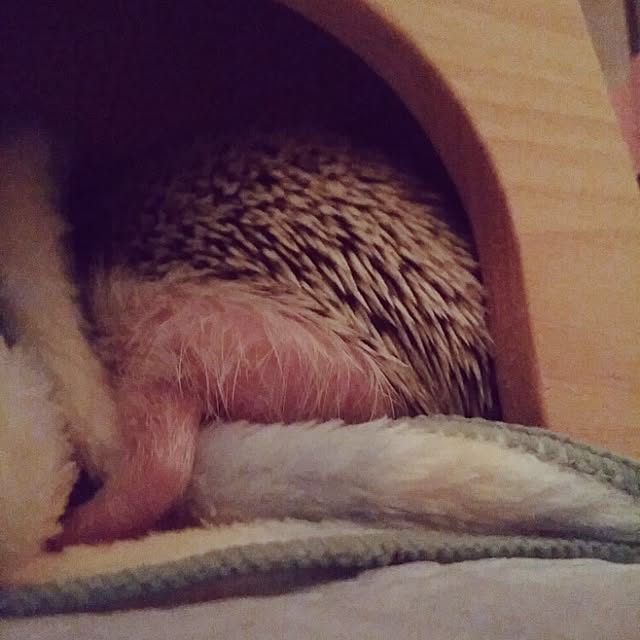 kuruさんの実例写真