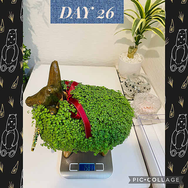 aureaさんの実例写真